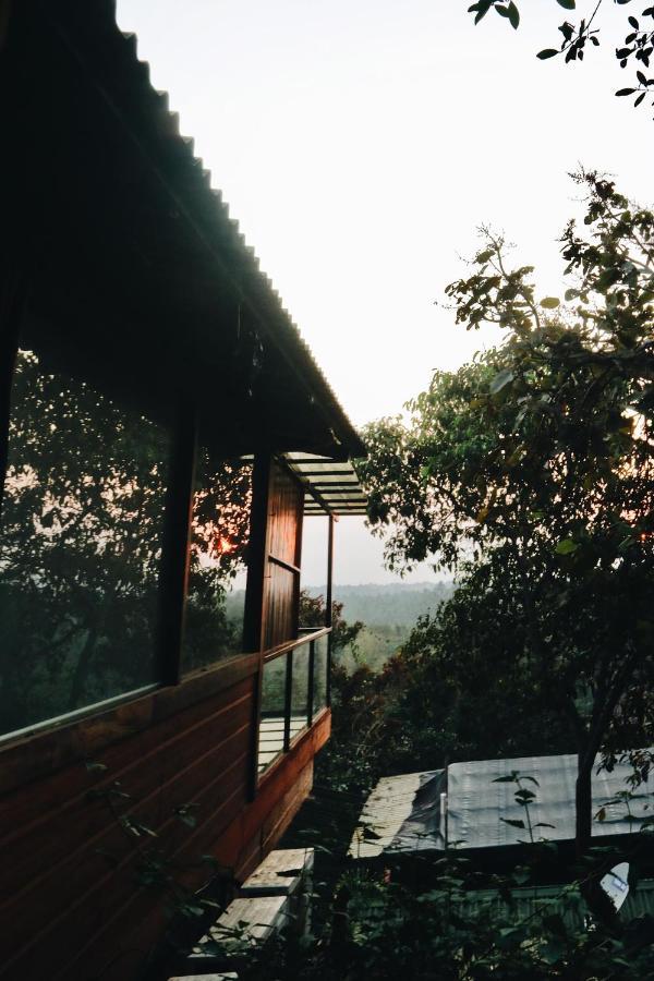 Amazonika Boutique Resort Arpora Dış mekan fotoğraf